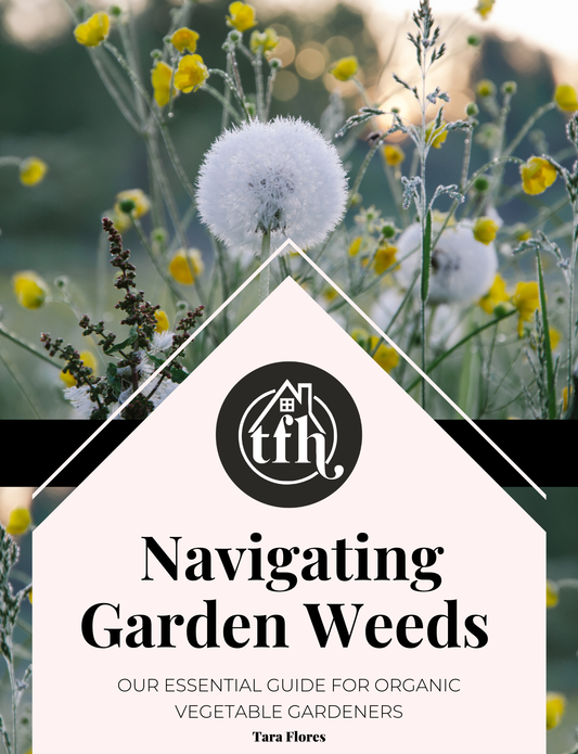 Navigating Garden Weeds: Our Essential Guide to Identifying and Using over 35 Garden Weeds