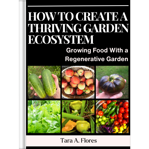 How to Create a Thriving Garden Ecosystem: Growing Food With a Regenerative Garden