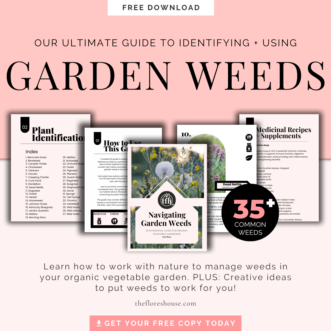 Navigating Garden Weeds: Our Essential Guide to Identifying and Using over 35 Garden Weeds