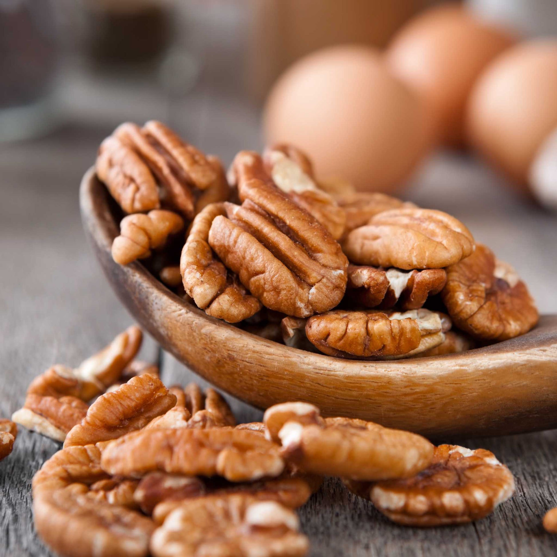 North Carolina Raw Bulk Pecans TFH Garden